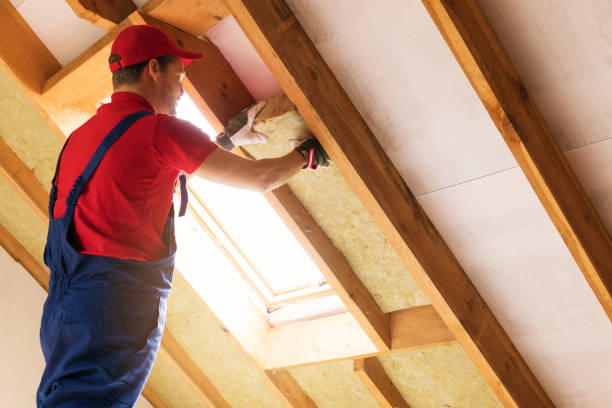 Foam Insulation Services